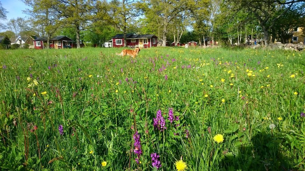 Stf Hagaby/Lantgarden Hostel Löttorp Zewnętrze zdjęcie
