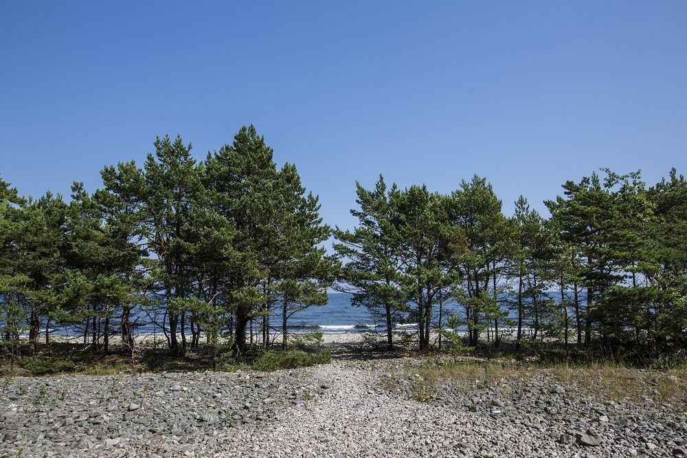Stf Hagaby/Lantgarden Hostel Löttorp Zewnętrze zdjęcie